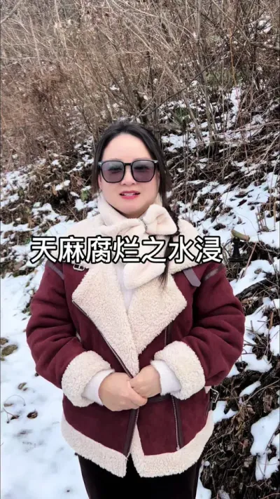 天麻腐烂之水浸病 #天麻种植#天麻种子好#农业技术推广