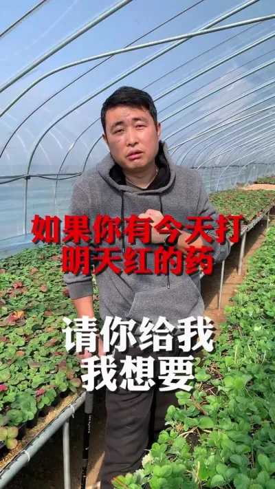 打了什么药，第二天就红了#草莓种植 #三农种植 #草莓 #分享农业知识帮农民增产增收 #农业技术推广