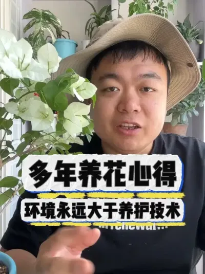 多年养花的心得，其实环境真比技术更重要。 #花卉绿植 #花卉 #养花 #养花小知识 #盆栽