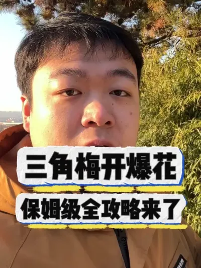 想要三角梅开爆花，保姆级全攻略教学来了。 #养花 #养花小知识 #花卉 #花卉绿植 #盆栽
