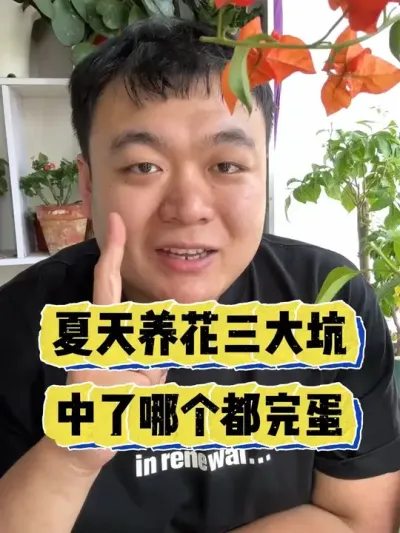 夏天养花三大坑，中了哪个都完蛋。 #养花 #养花小知识 #花卉 #花卉绿植 #盆栽