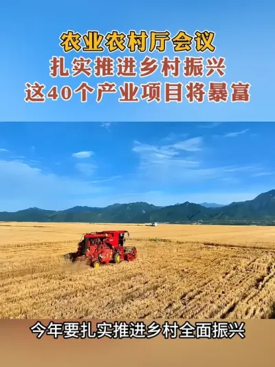 农业农村厅局长会议重磅消息，扎实推进乡村振兴，40类乡村产业暴富#乡村振兴#农村经济 #乡村发展#乡村建设