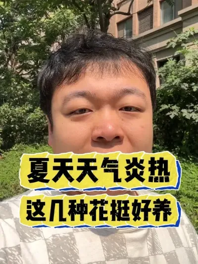 夏天天气热，这几种花可以养。 #养花 #养花小知识 #花卉 #花卉绿植 #盆栽