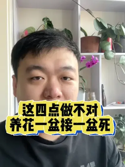 这四点做不对，养花一盆接一盆死。 #养花 #养花小知识 #花卉 #花卉绿植 #盆栽