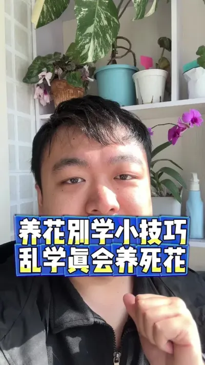 养花千万别乱学一些小技巧了 橘子皮香蕉皮，完全没有科学道理。#养花小知识 #花卉 #养花 #花卉绿植 #盆栽