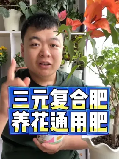 三元复合肥，养花通用肥，家里的植物都能用。 #养花 #养花小知识 #花卉 #花卉绿植 #盆栽