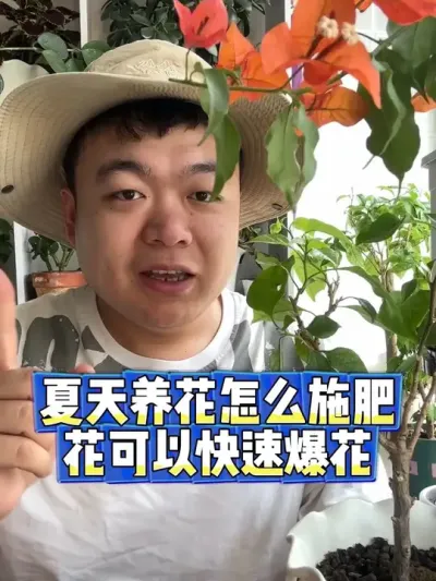 夏天养花怎么施肥，花能花开爆盆。 #养花 #养花小知识 #花卉 #花卉绿植 #盆栽