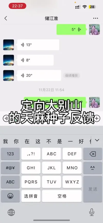 大别山低海拔地区在今年高温干旱天气产量依然不低关键他说我们的品种抗高温能力强#天麻种植 #农业技术推广 #技术分享 @抖音小助手