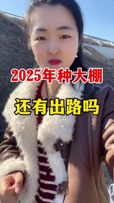 2025年种大棚还有出路吗 #服务三农支持三农 #西红柿种植 #西红柿种植技术