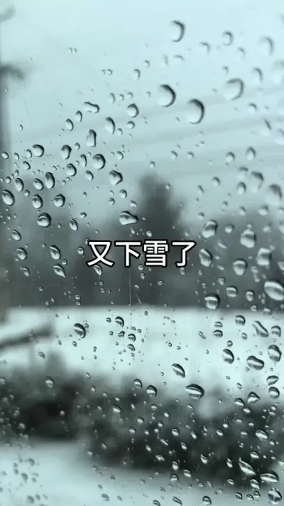 倒春寒 持续下雪意味着今年我们天麻种植又将推迟了#技术分享 #新农人计划 #天麻种植