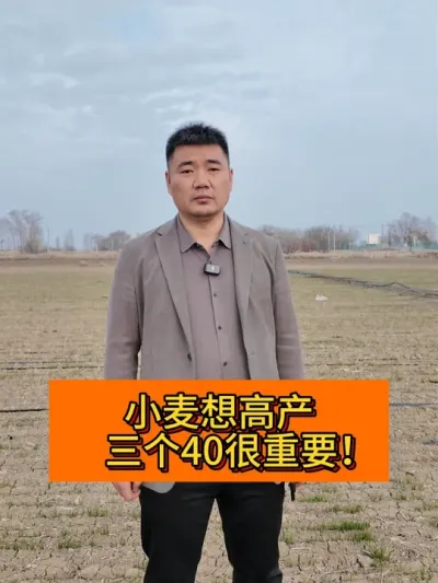 小麦三个40你知道吗？ #新农人计划2025 #每日精选爆款 #种植小技巧 #支持三农扶持三农发展 #支持三农扶持三农发展