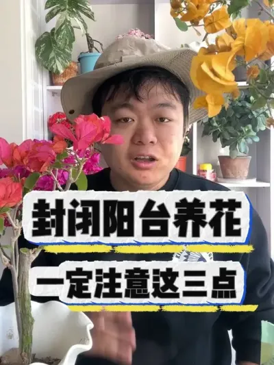 封闭阳台养花，一定要注意这三点。 #养花 #养花小知识 #花卉 #花卉绿植 #盆栽