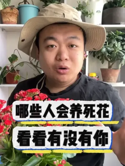 哪些人会养死花，看看里面有没有你。 #养花小知识 #养花 #花卉 #花卉绿植 #盆栽
