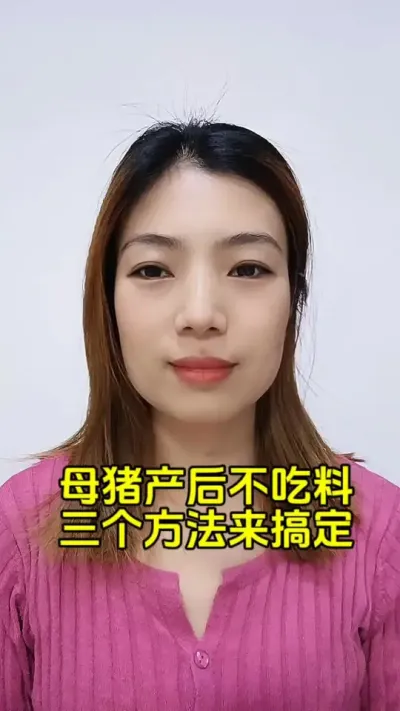 母猪产后不吃#自繁自养母猪 #每天分享养猪知识 #母猪饲养管理 #母猪