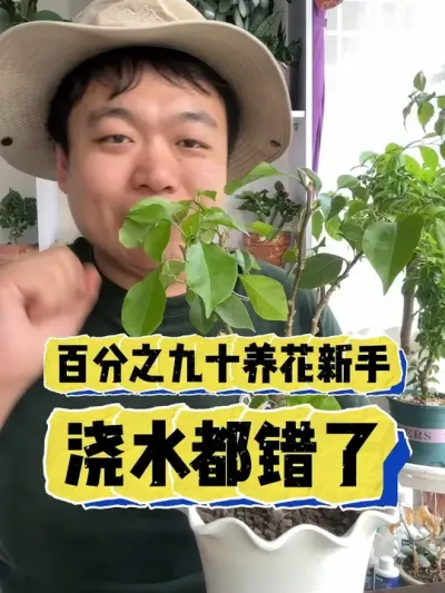 百分之九十的养花新手，其实都不会浇水。 #养花 #养花小知识 #花卉 #花卉绿植 #盆栽