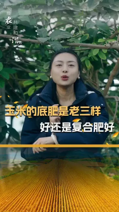 玉米的底肥是老三样好还是复合肥好#玉米种植 #玉米种植技术 #玉米种子 #三农 #抖音新农人