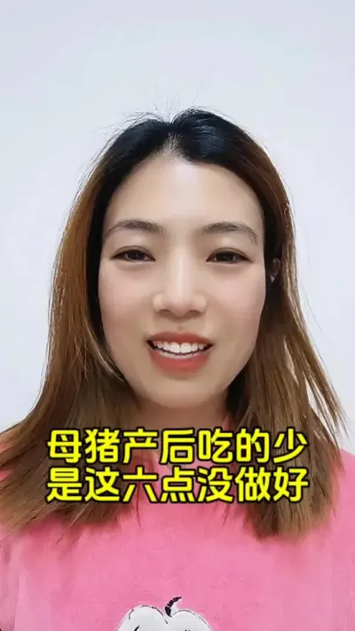母猪产后#自繁自养母猪 #每天分享养猪知识 #母猪养殖技术 #母猪养殖技巧 #三农养猪