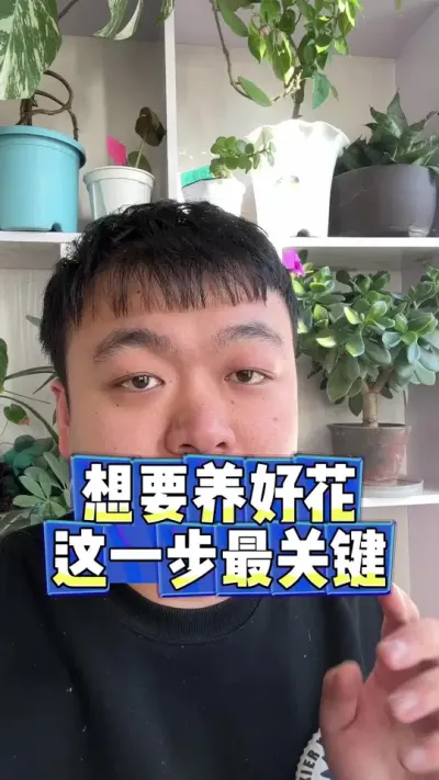 想要养好花，这一步很关键。 #养花 #养花小知识 #花卉 #花卉绿植 #盆栽