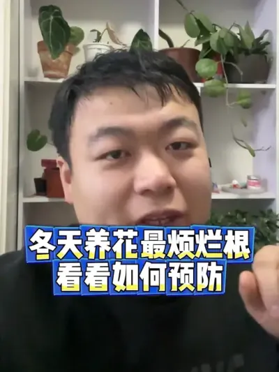 养花最烦的就是烂根，看下冬天烂根如何预防缓解。 #养花小知识 #养花 #花卉 #花卉绿植 #烂根