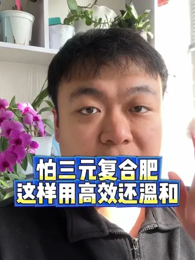 还在怕三元复合肥用不好烧根伤苗 今天教你一个，温和而且高效的三元复合肥使用方法，让你的花根壮苗旺而且爱开花。#养花小知识 #养花 #花卉 #花卉绿植 #盆栽
