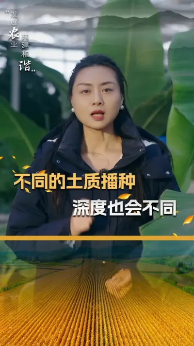不同的土质播种，深度也会不同#玉米种植 #玉米种植技术 #玉米种子 #三农 #抖音新农人