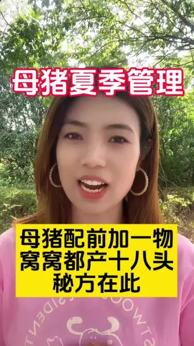 #养母猪#科学养殖#养猪小技巧#母猪养殖技术
