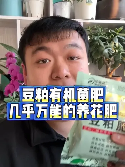 豆粕有机菌肥，几乎万能的养花肥。 关键还是小张自己的产品，施肥改土或者换土增加底肥都要比羊粪蚯蚓粪好用。#养花 #养花小知识 #花卉 #花卉绿植 #盆栽
