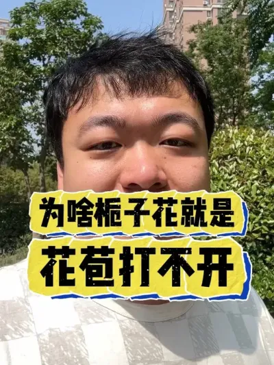 为啥栀子花开花苞，就是打不开。 #养花 #养花小知识 #花卉 #花卉绿植 #拒绝废话科普