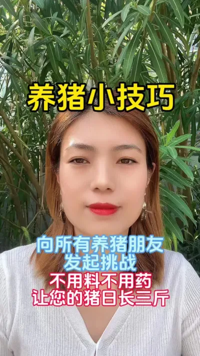 #养殖小妙招 #养殖小知识 #养猪小妙招 #小知识 那