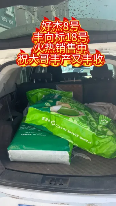 丰向标农业葫芦火热销售中#丰向标农业