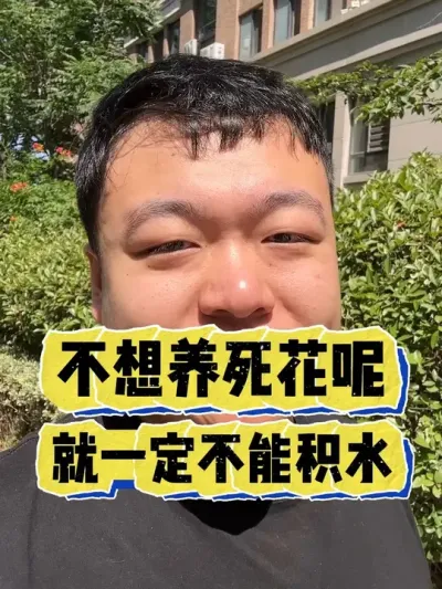 阳台想要把花养活，一定别积水烂根。 #养花 #养花小知识 #花卉 #花卉绿植 #盆栽