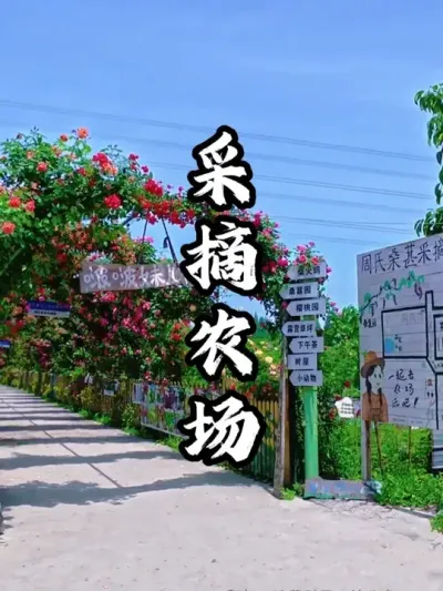 采摘园通过融合采摘、观光、研学等项目，成功爆火当地#游云文旅 #规划设计 #乡村振兴 #周二课堂