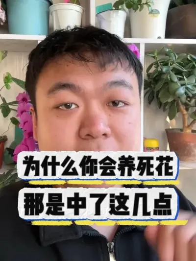 春天往家里买花，都要注意啥。 #养花小知识 #养花 #花卉绿植 #花卉 #盆栽
