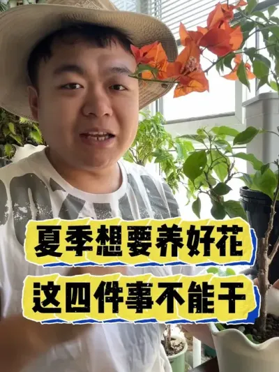 夏季想要养好花，这四件事情不能干。 #养花 #养花小知识 #花卉 #花卉绿植 #盆栽