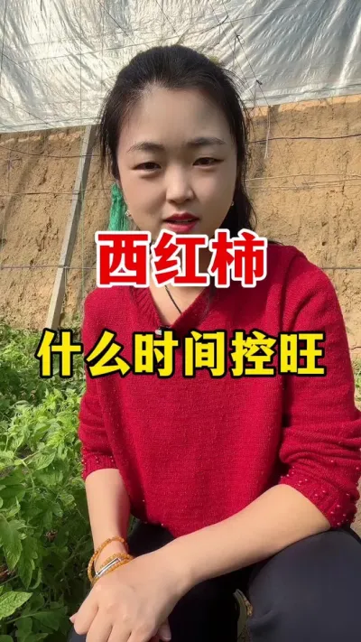 西红柿什么时间控旺？ #西红柿种植 #西红柿种植技术
