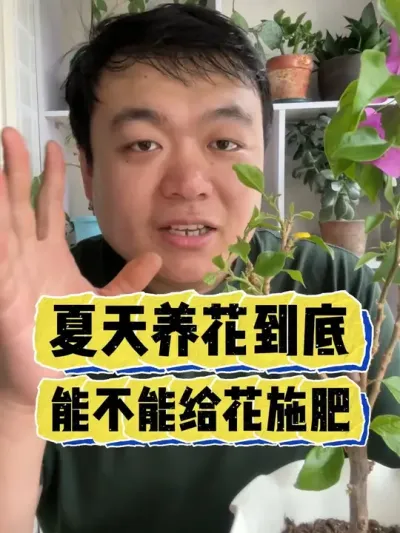 夏天养花到底能不能给花施肥。 #养花 #养花小知识 #花卉 #花卉绿植 #盆栽