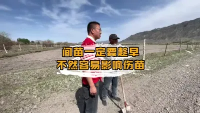 田间服务，我们一直在路上#丰向标 #新疆三瑞