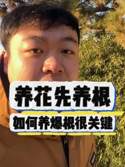 养花先养根，但是如何养好根才是关键。 #养花小知识 #养花 #花卉 #花卉绿植 #盆栽