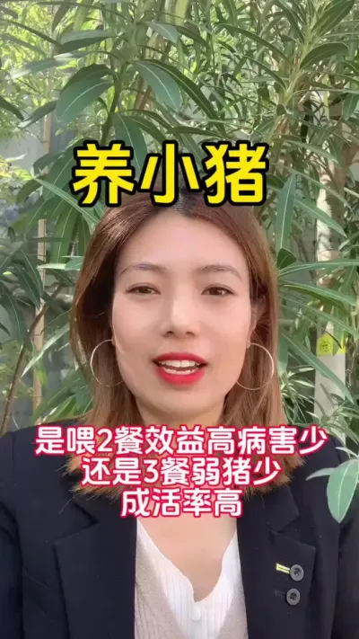 #每天分享养殖技术和经验 #所有养猪人 #服务三农支持三农 #科学养猪 #养殖技术交流