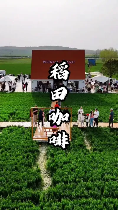 通过在稻田中布置治愈场景，让这家咖啡屋爆火出圈#游云文旅 #规划设计 #乡村振兴 #周二课堂