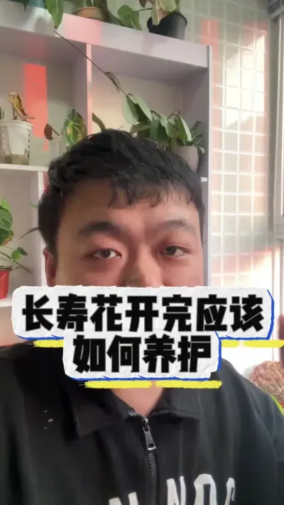 长寿花冬天应该如何养护，一条视频说明白。 #养花小知识 #花卉 #养花 #花卉绿植 #盆栽