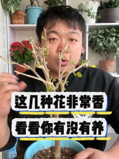 这几种花非常香，看看你有没有养。 #花卉 #花卉绿植 #养花 #养花小知识 #盆栽