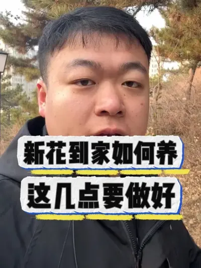 新花到家怎么养，这几点教会你。 #养花小知识 #花卉 #养花 #花卉绿植 #盆栽