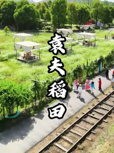 武汉这家稻田通过打造田园综合体，年收入千万起#游云文旅 #规划设计 #乡村振兴 #周二课堂