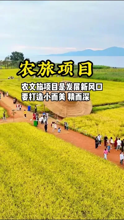 农文旅项目是发展新风口，要打造小而美，精而深。#游云文旅 #规划设计 #农旅项目#周二课堂
