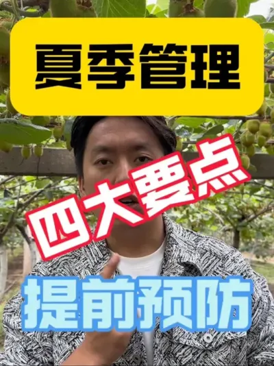 猕猴桃夏季管理要点‼️ 今年前期气候导致损失严重，吃一堑长一智，咱膨果期更要提前准备，预防高温高湿带来的病虫害问题，另外再从修剪、水肥、地面管理协同配合，减少后期异常气候带来的危害⚠️#2025新农人