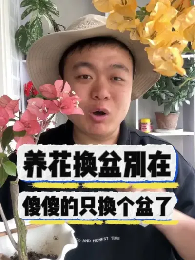 养花换盆不是只换盆。 分开会用了就行，#养花小知识 #养花#花卉。#花卉绿植 #盆栽