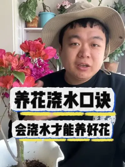 养花浇水口诀，会浇水才能养好花。 #养花 #养花小知识 #花卉 #花卉绿植 #盆栽