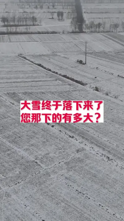 大雪落下，您那下多大 #支持三农扶持三农发展 #关注我每天为你分享更多农业知识 #农技知识分享