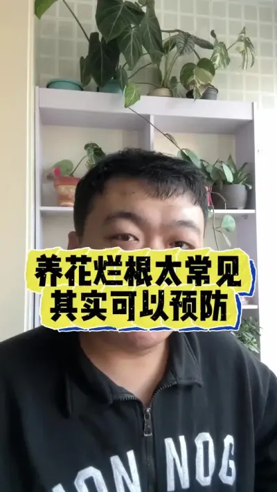 养花烂根太常见了，其实可以提前预防。#养花小知识 #烂根 #养花 #花卉 #花卉绿植